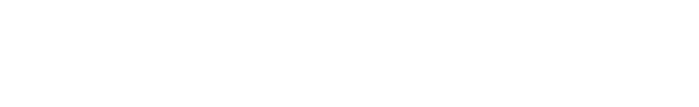 10、(新)乐山师院审计处